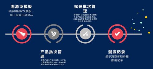 二维码防伪溯源系统的设计与开发 融合产品特征信息统计与网络安全实践